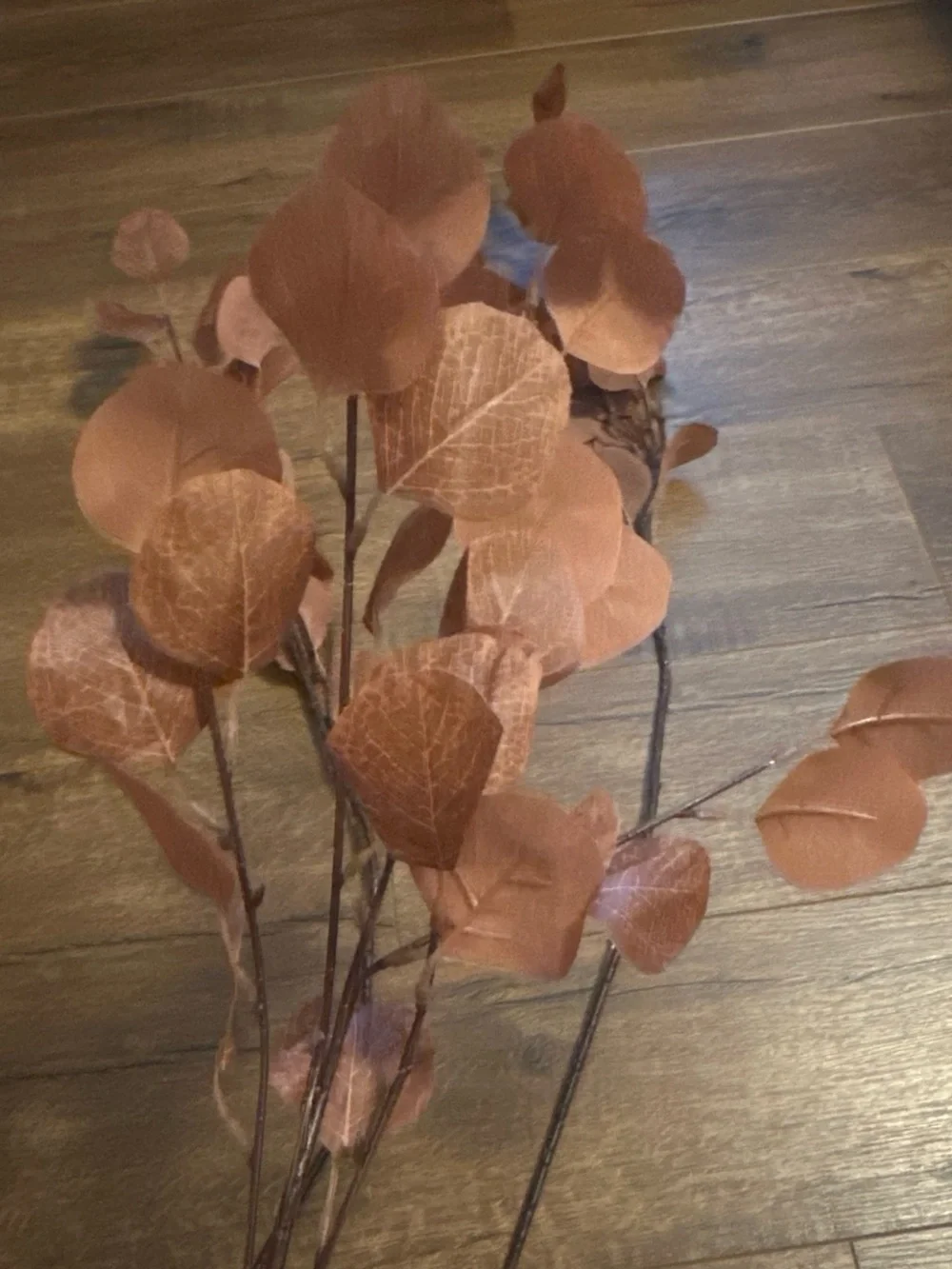 Fall flowers and plants